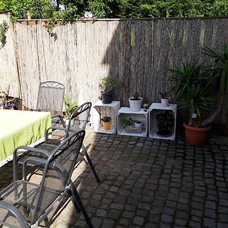 Ferienwohnung Auf Dem Land Rochlitz المظهر الخارجي الصورة