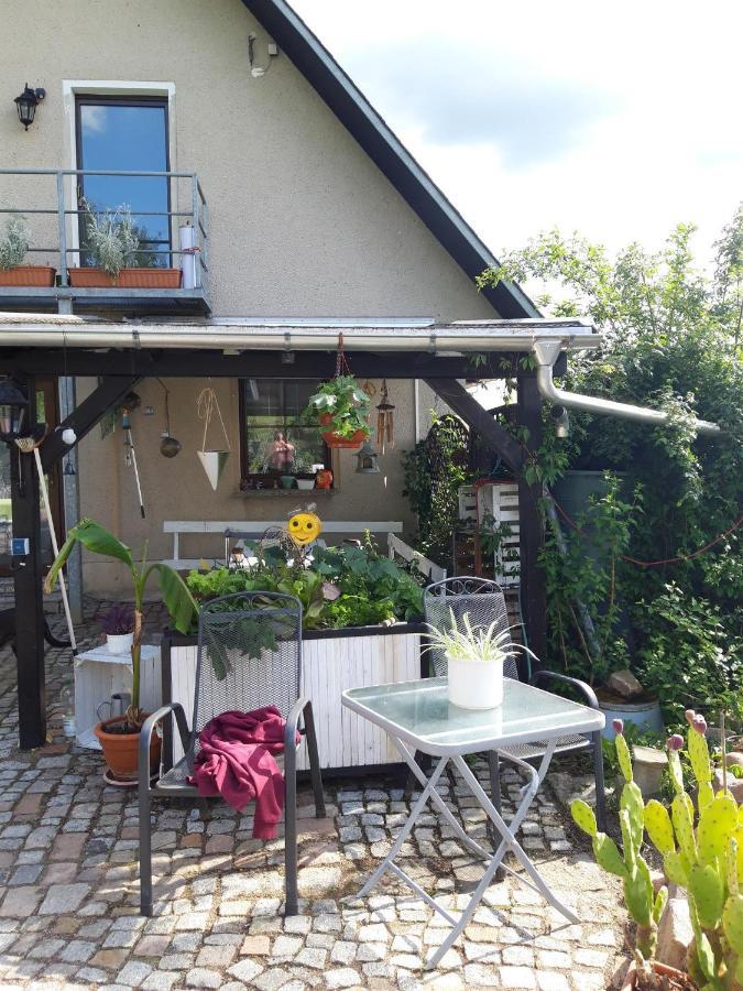 Ferienwohnung Auf Dem Land Rochlitz المظهر الخارجي الصورة
