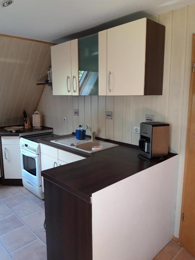 Ferienwohnung Auf Dem Land Rochlitz المظهر الخارجي الصورة