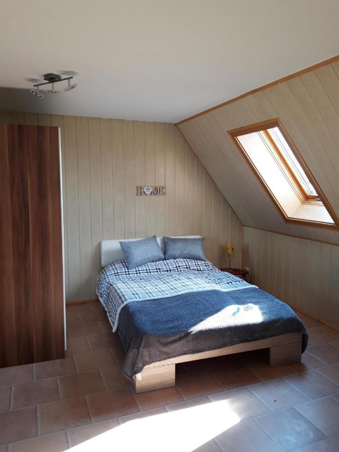 Ferienwohnung Auf Dem Land Rochlitz المظهر الخارجي الصورة
